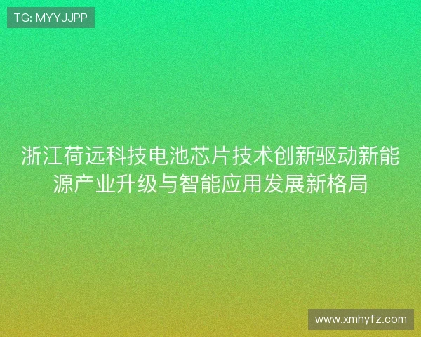 浙江荷远科技电池芯片技术创新驱动新能源产业升级与智能应用发展新格局